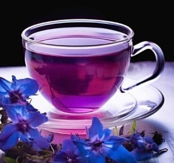 فروش عرق گل گاو زبان - گاوزبان (گیاه‌ دارویی)