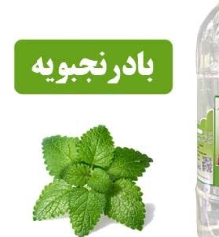 فروش عرق بادرنجبویه