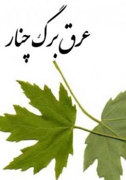 فروش عرق برگ چنار