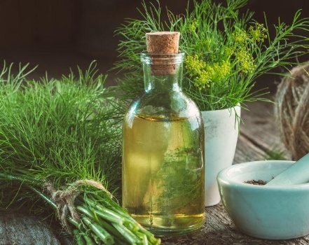 فروش عرق شوید