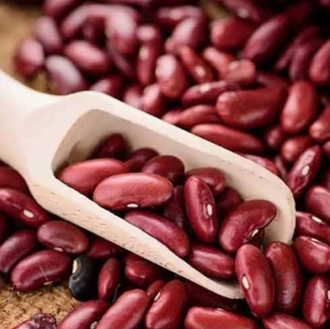 فروش لوبیا قرمز