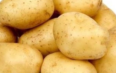 فروش سیب زمینی