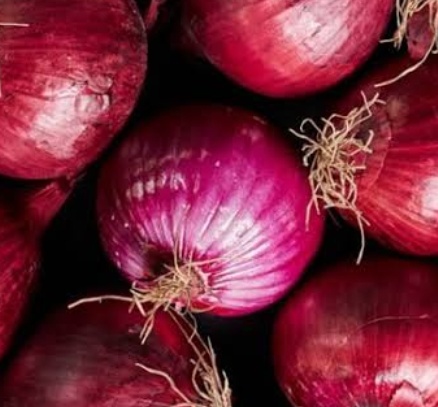 فروش پیازقرمز