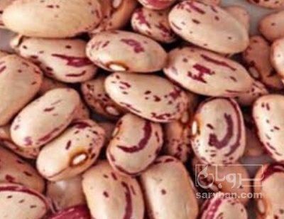 فروش لوبیا چیتی