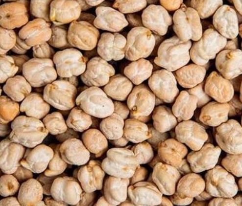 فروش نخود