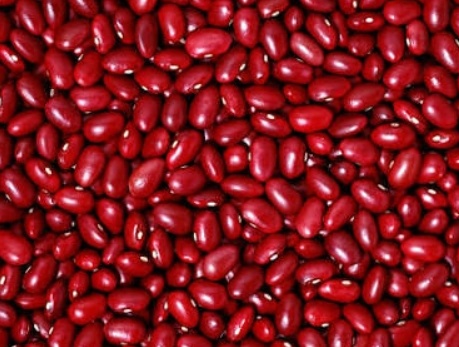 فروش لوبیا قرمز