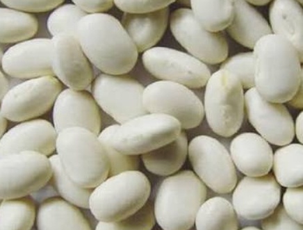 فروش لوبیا سفید