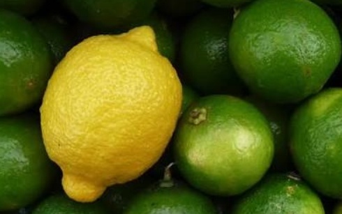 فروش لیمو ترش