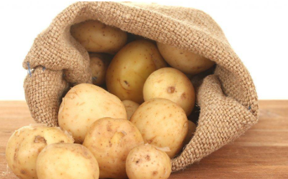 فروش سیب زمینی