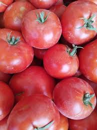 فروش گوجه فرنگی