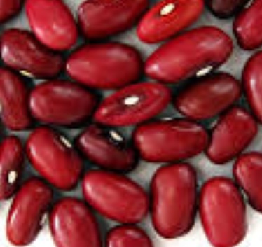 فروش لوبیا قرمز