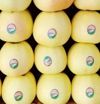 فروش سیب زرد