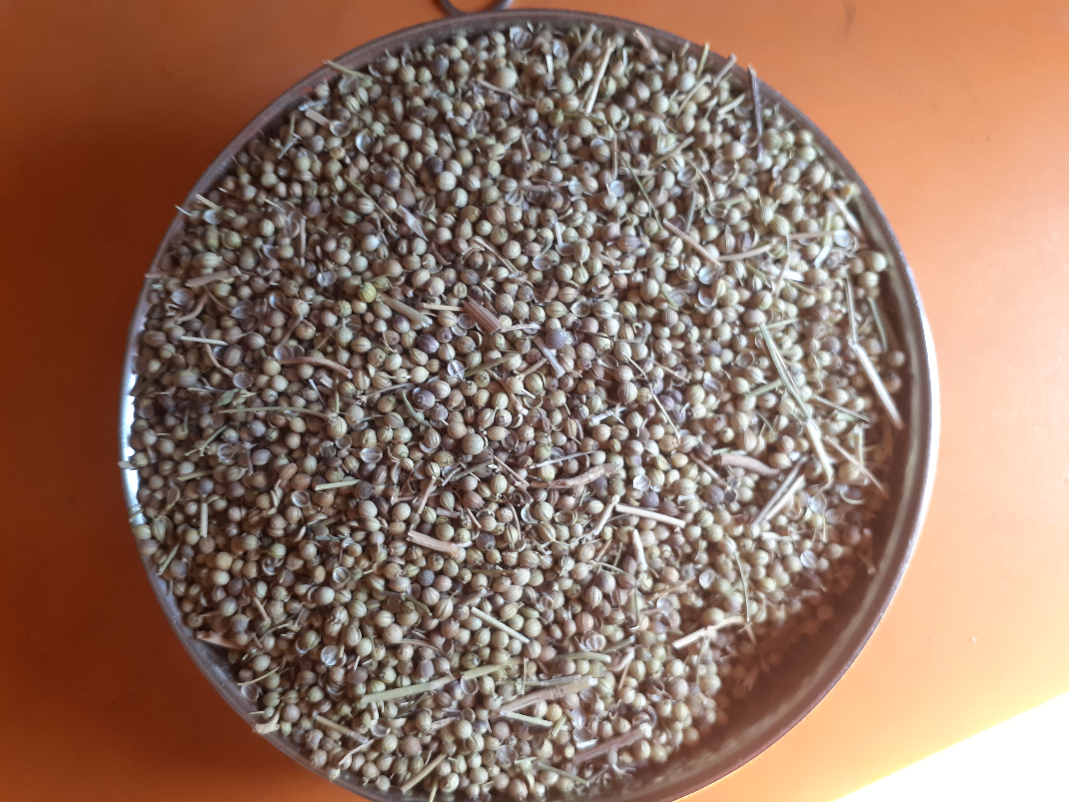 فروش تخم گشنیز (گیاه‌ دارویی)