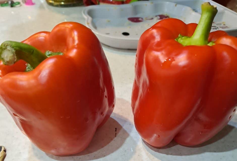 فروش فلفل دلمه ای رنگی