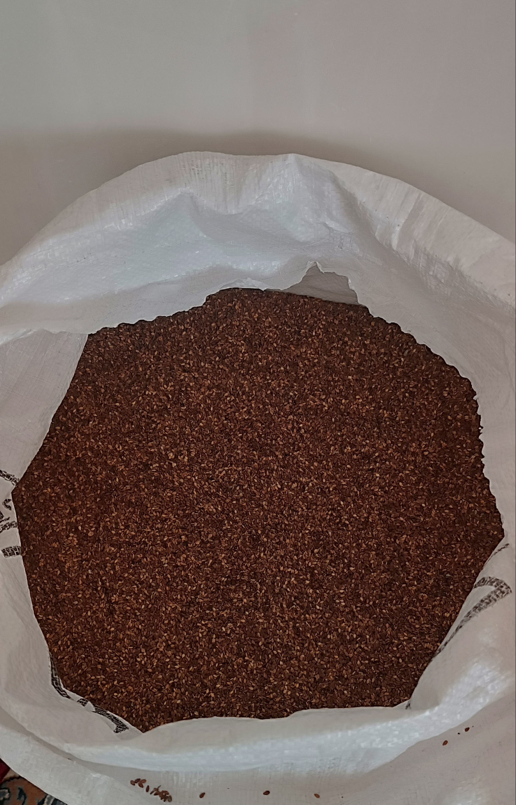 فروش کنجدقهوه ای