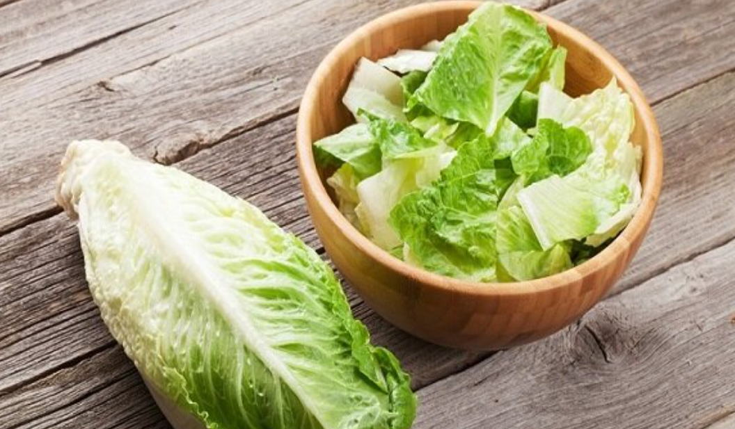 فروش کاهو ایرانی - رومانو