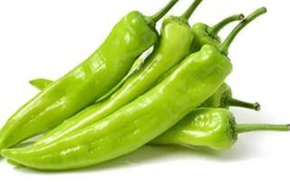 فروش فلفل سبز کاپی