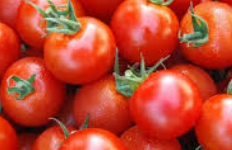 فروش گوجه فرنگی