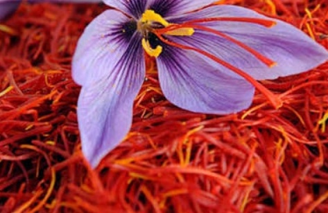 فروش زعفران  سنتی(گیاه‌ دارویی)