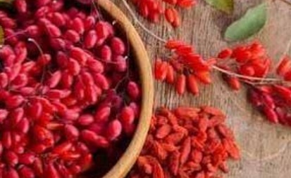 فروش زرشک زیر تالاری