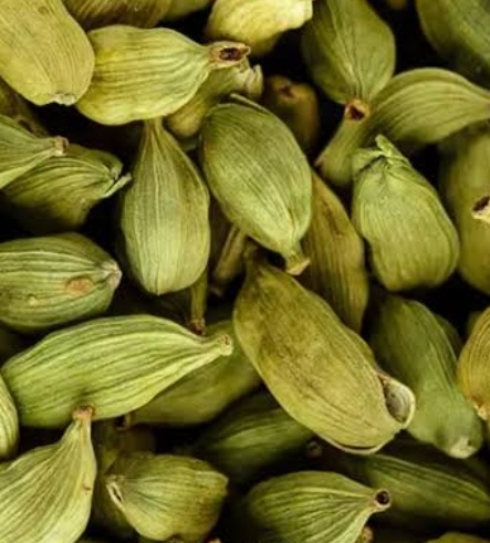 فروش هل (گیاه‌ دارویی)