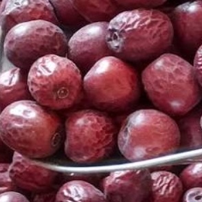 فروش عناب دارویی