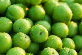 فروش گوجه سبز