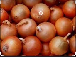 فروش پیازفلات