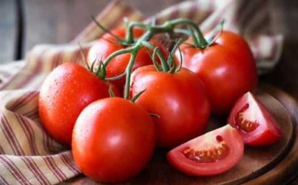 فروش گوجه فرنگی