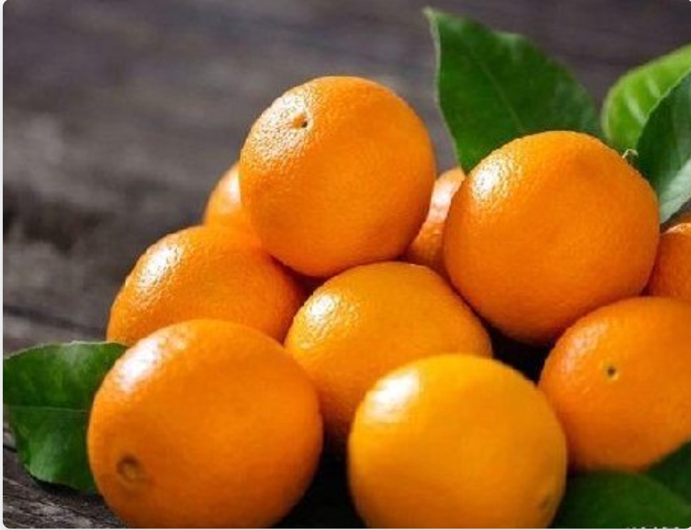 فروش پرتقال واشنگتن