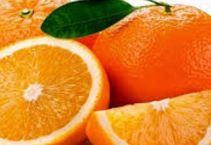 فروش پرتقال