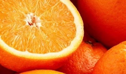 فروش پرتقال