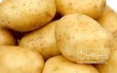 فروش سیب زمینی