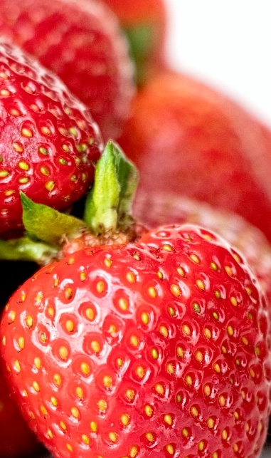 فروش توت فرنگی