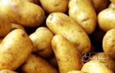 فروش سیب زمینی