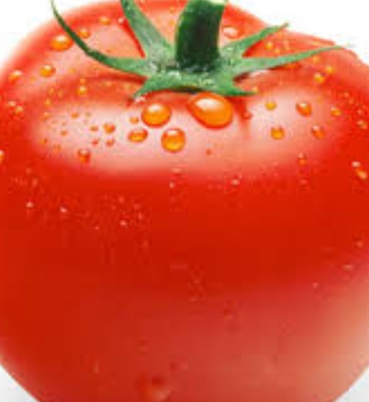 فروش گوجه فرنگی