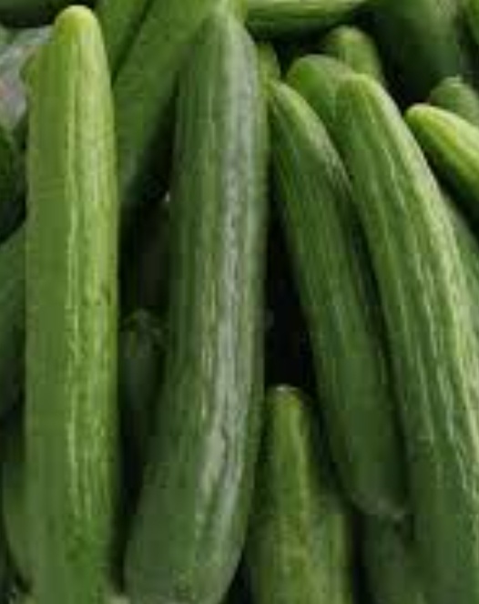 فروش گوجه فرنگی