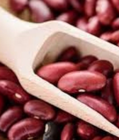 فروش لوبیا قرمز