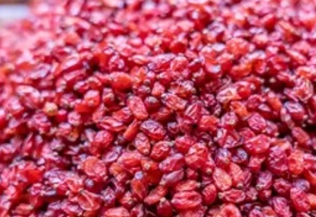 فروش زرشک اناری