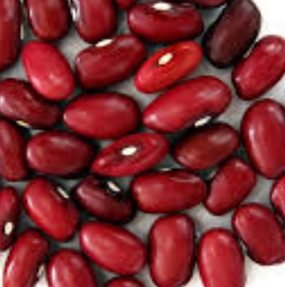 فروش لوبیا قرمز