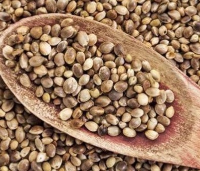 فروش شاهدانه (گیاه‌ دارویی)