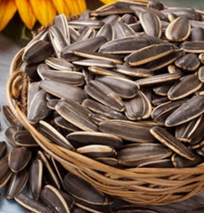 فروش تخمه آفتابگردان بود داده