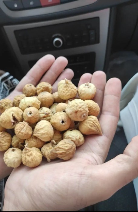 فروش انجیر خشک