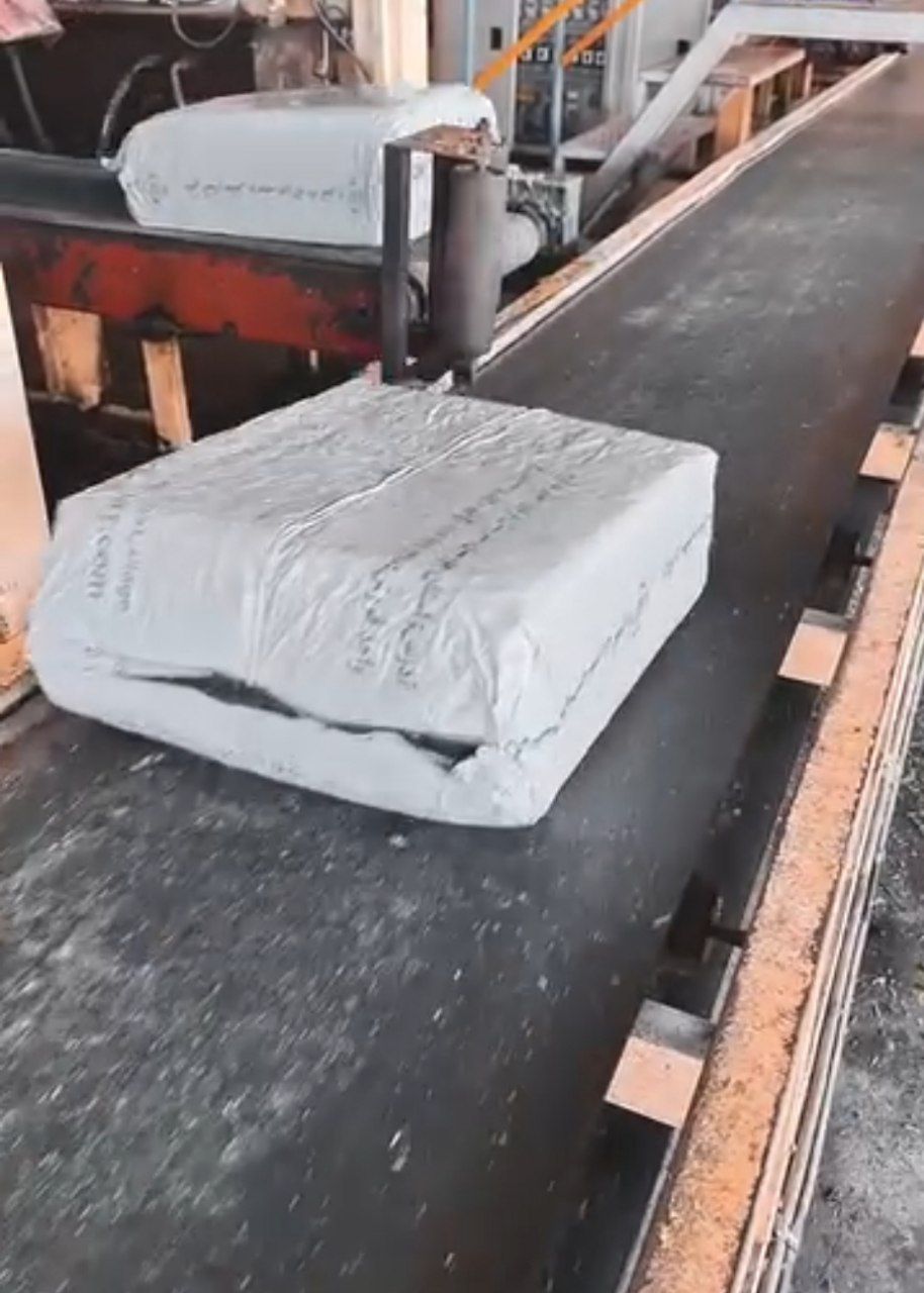 فروش ذرت علوفه ای