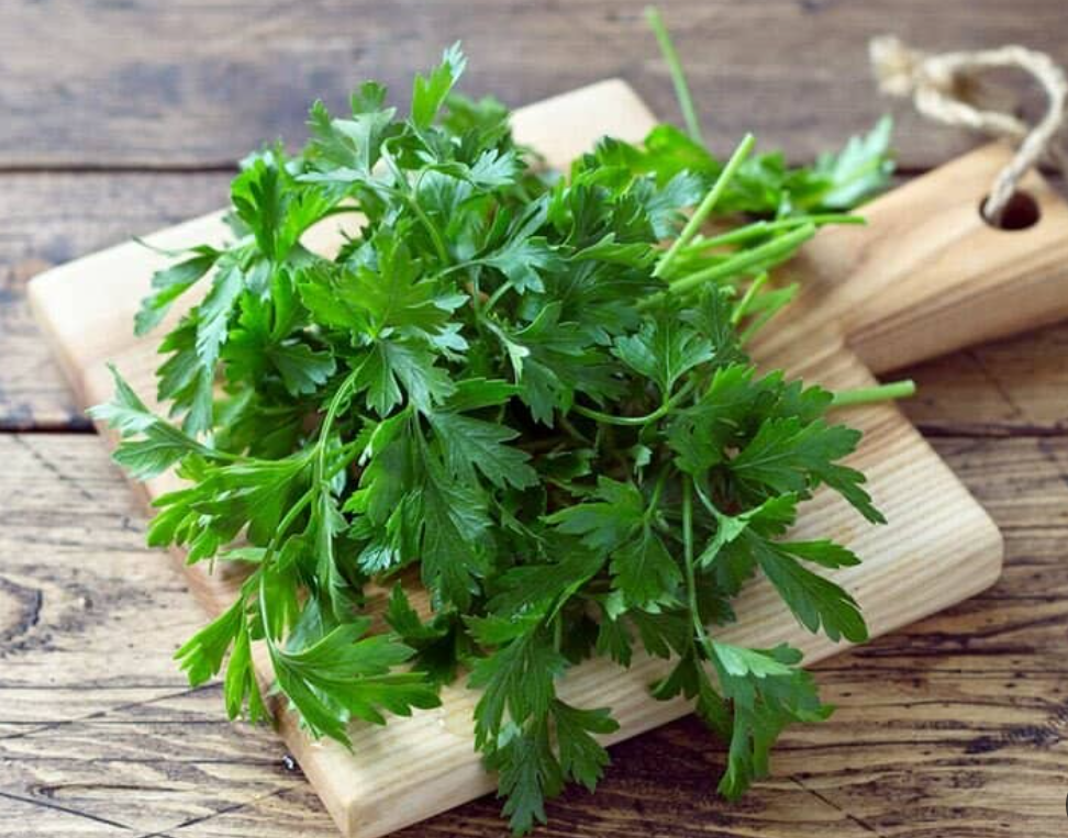 فروش جعفری تازه