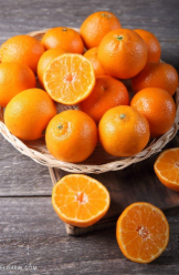 فروش پرتقال