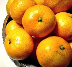 فروش نارنگی