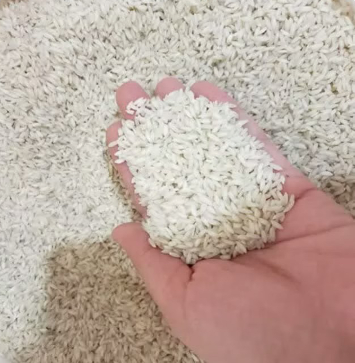 فروش برنج چمپا