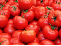 فروش گوجه فرنگی