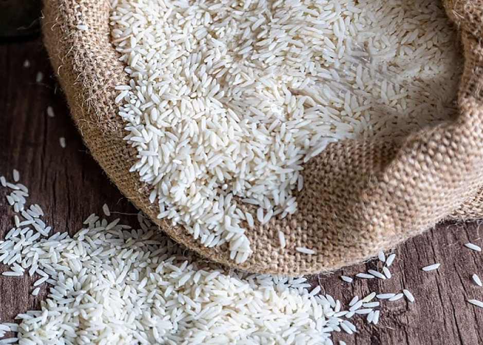 فروش برنج چمپا
